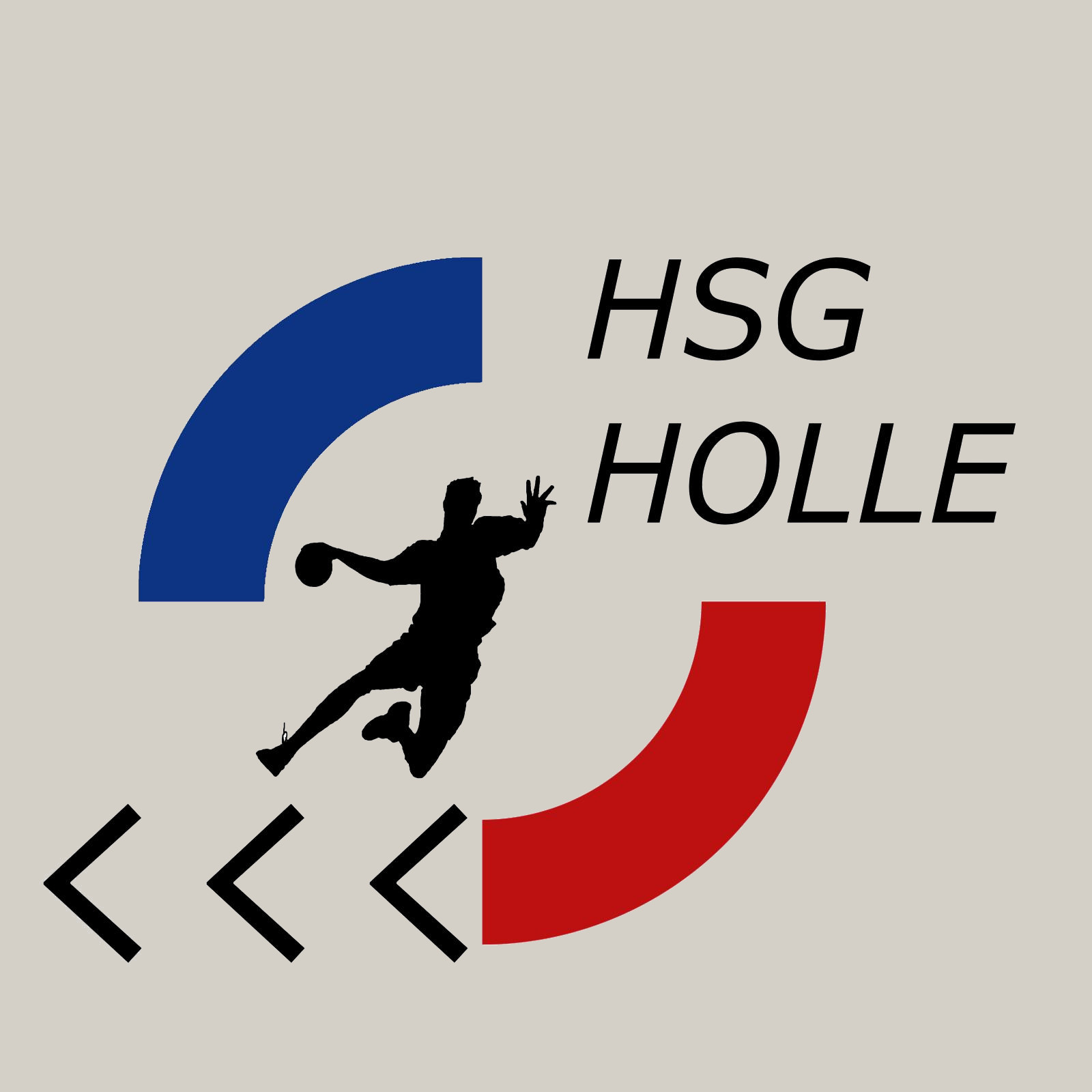 Logo HSG Holle